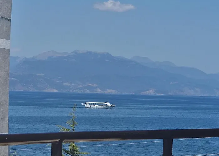 Elton Tushemisht Pogradec