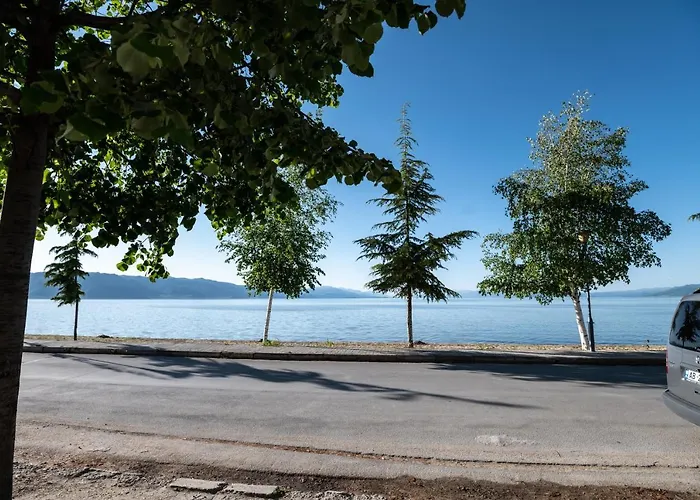 Elton Tushemisht Apartment Pogradec